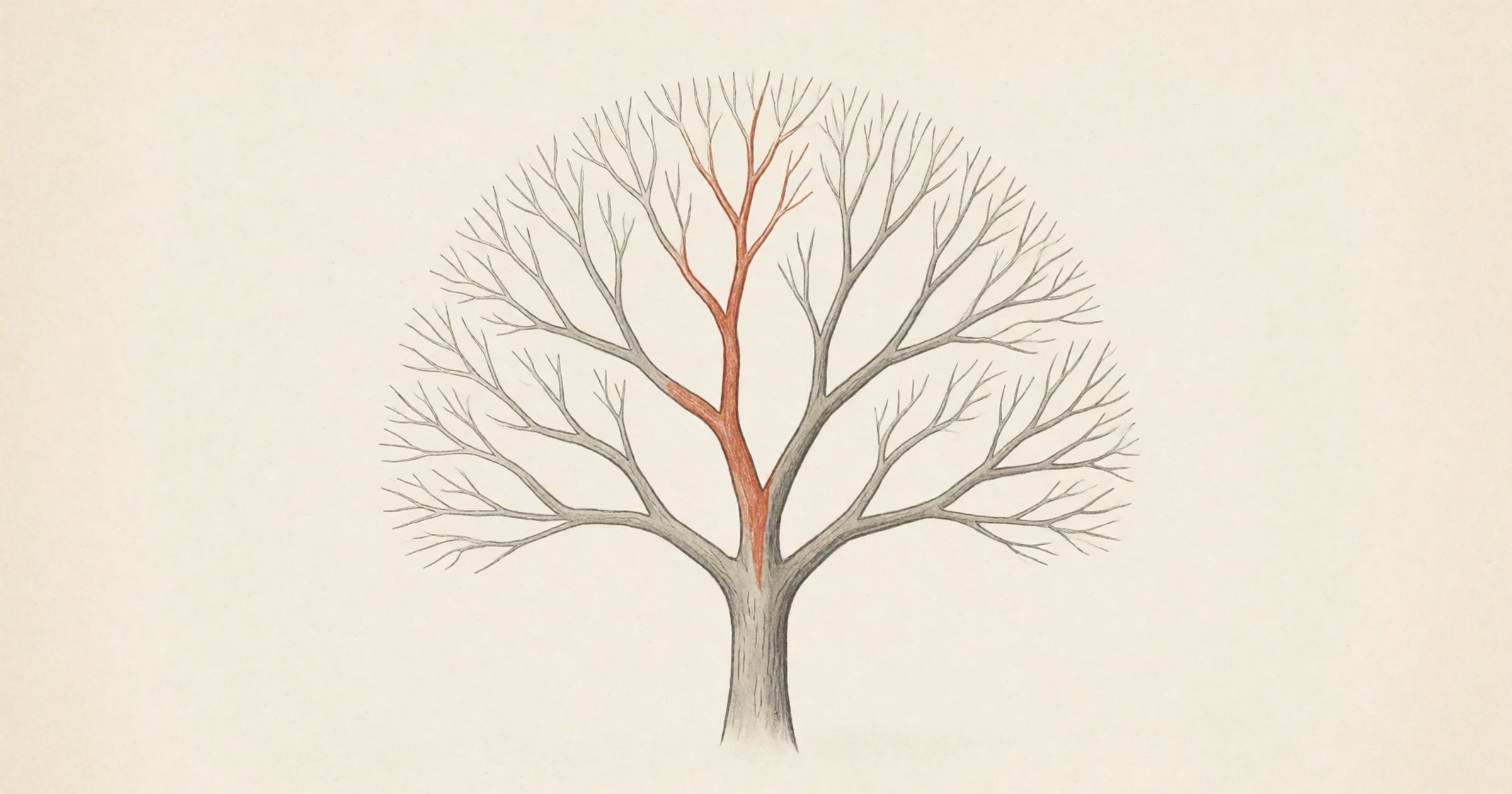 Pen-and-wash illustration on a cream background: a bare winter tree drawn like a branching diagram, one path from a top twig down to the trunk picked out in rust orange.